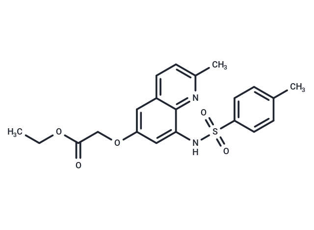 Zinquin ethyl ester