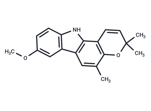 Koenimbine