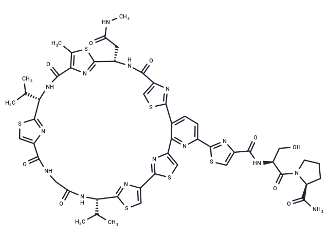 Amythiamicin B