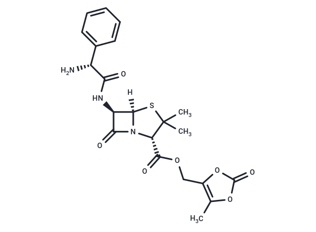 Lenampicillin