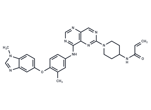 Zongertinib