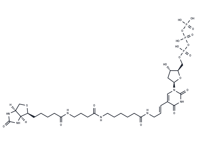 Biotin-16-dUTP