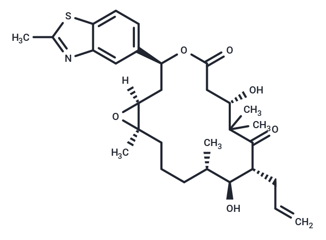 Sagopilone