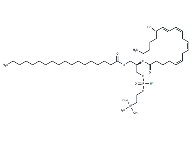 1-Stearoyl-2-15(S)-HETE-sn-glycero-3-PC