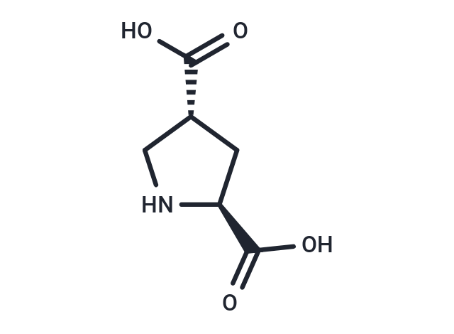 L-trans-2,4-PDC