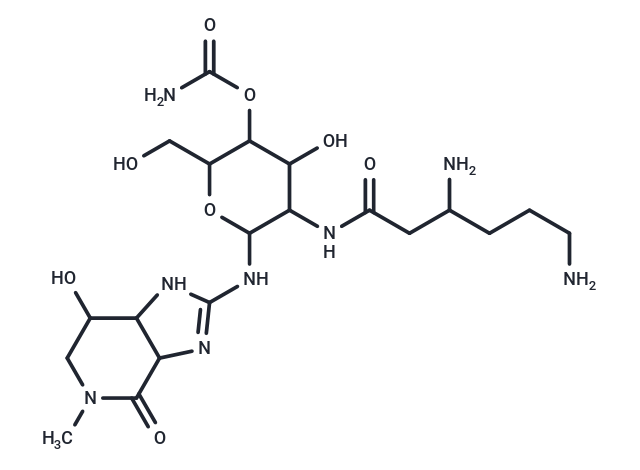 N-Methylstreptothricin F