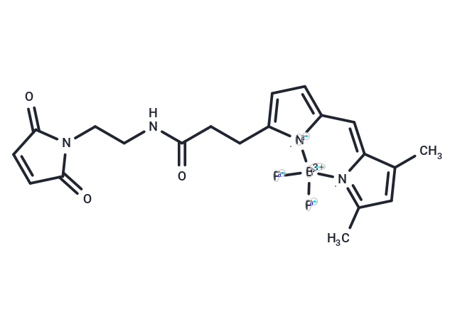 BDP FL maleimide