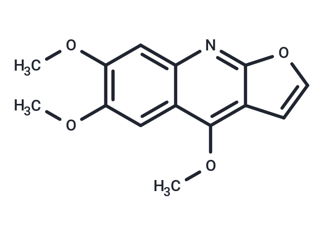 Kokusaginine