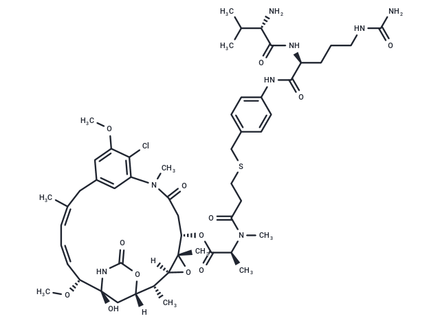 vc-PABC-DM1