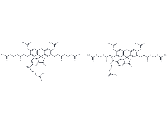 BCECF-AM