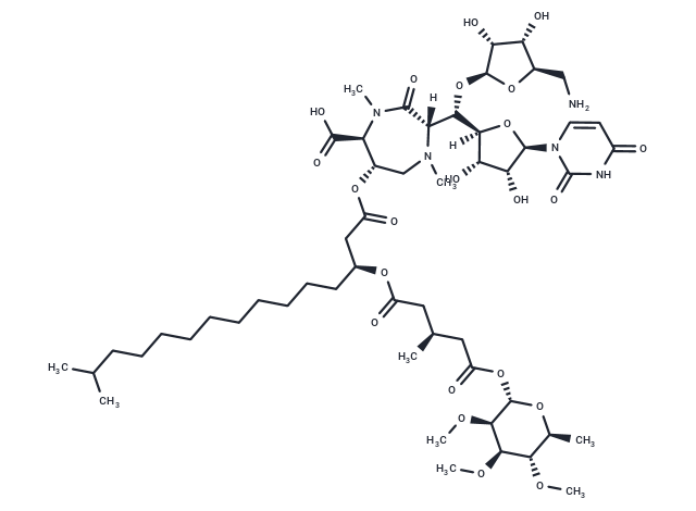 Caprazamycin