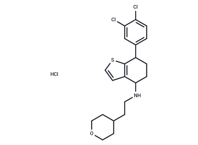 Antifungal agent 22