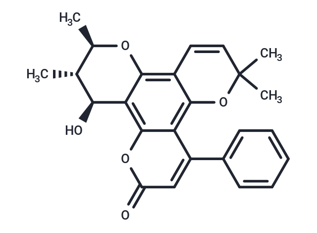 Inophyllum B