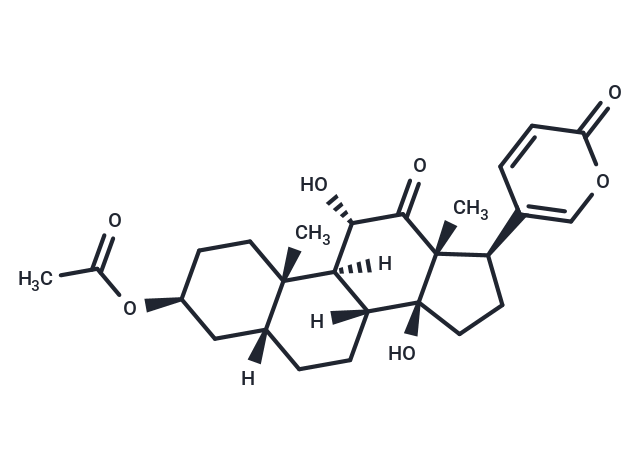 Acetylarenobufagin