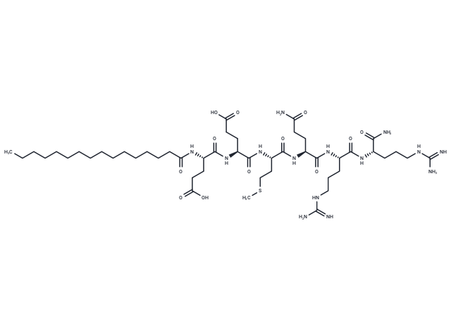 DD04107