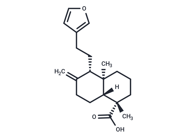 Lambertianic acid