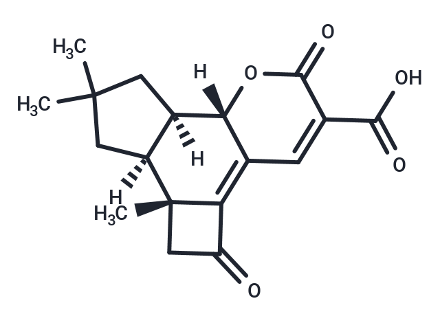 Lentinellic acid