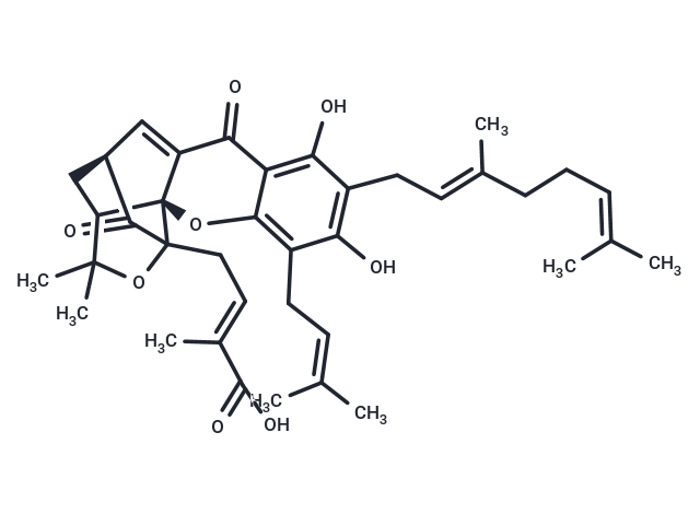 Isogambogenic acid