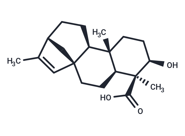 Verbenacine