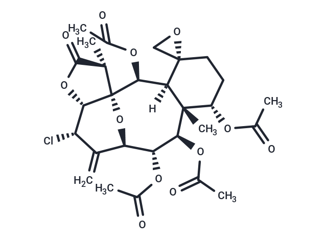 Praelolide