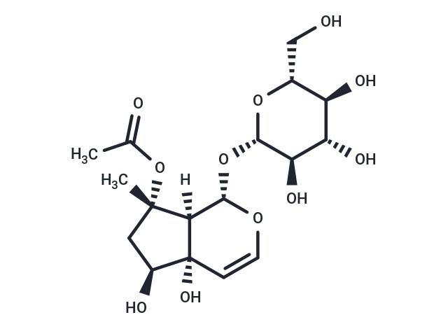 6-Epi-8-O-acetylharpagide