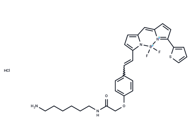 BDP 630/650 amine