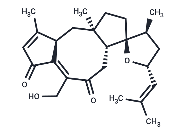 Maydispenoid B