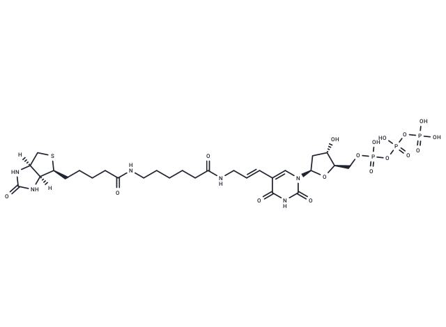 Biotin-11-dUTP