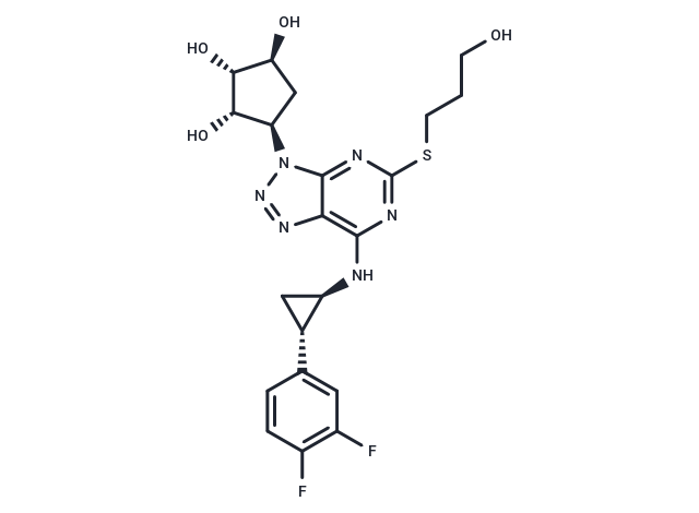 Antiplatelet agent 2