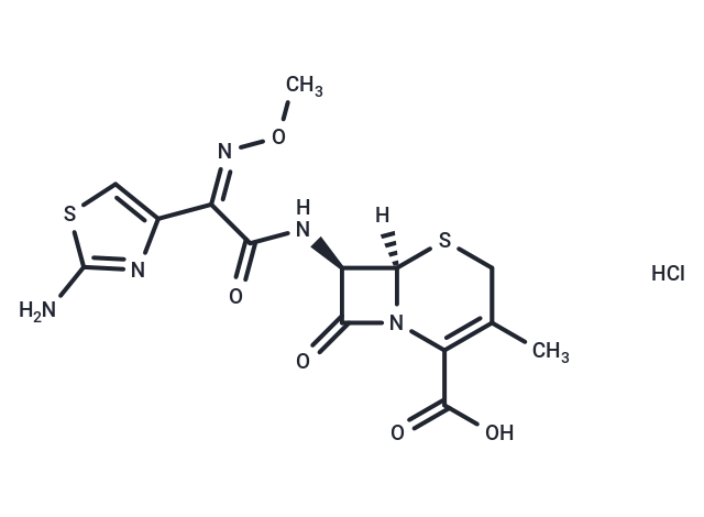 Cefetamet Hydrochloride