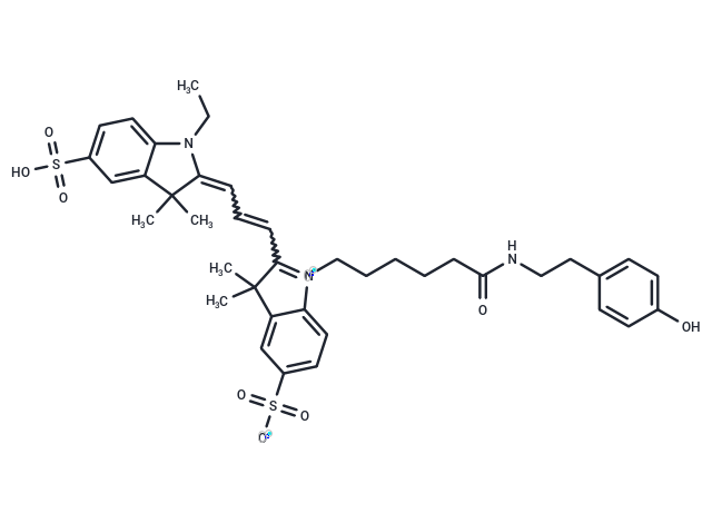 Cyanine 3 Tyramide