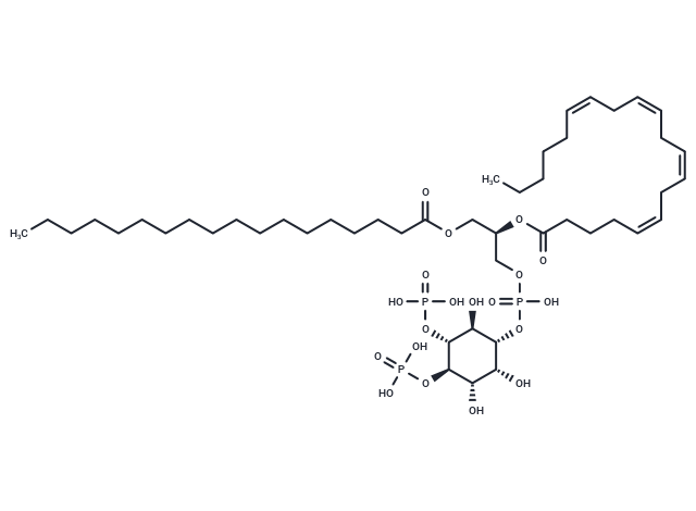 Phosphatidylinositol 4,5-bisphosphate