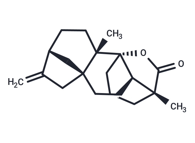 Tetrachyrin