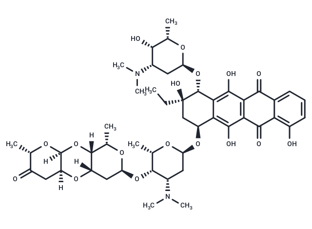 Rodorubicin