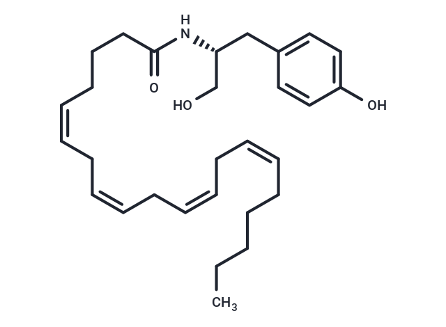 OMDM-4