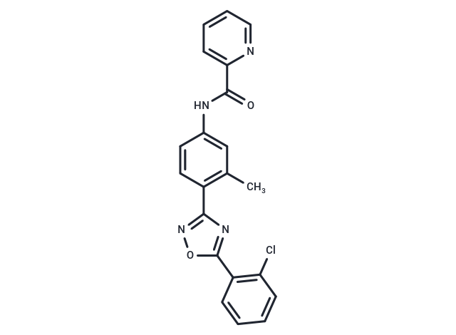 mGlu4 receptor agonist 1