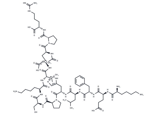 SOR-C13