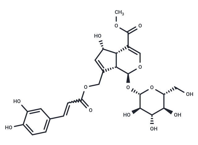 10-O-Caffeoyl-6-epiferetoside