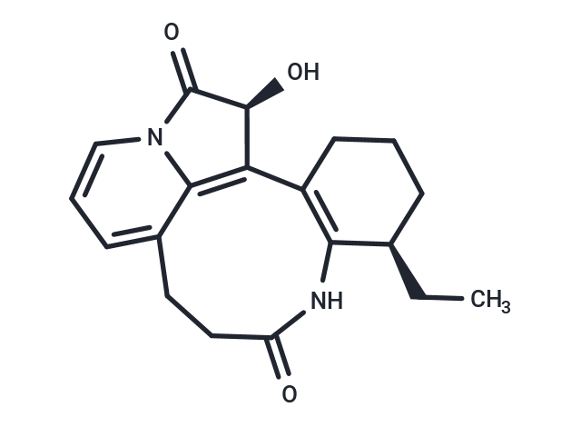 Leuconolam