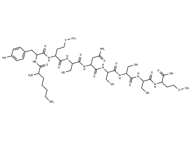 p53 tumor suppressor fragment