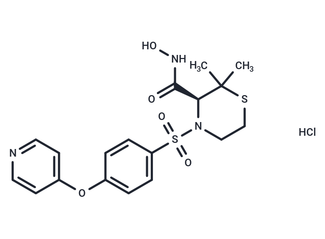 Prinomastat hydrochloride