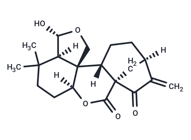 Isodocarpin