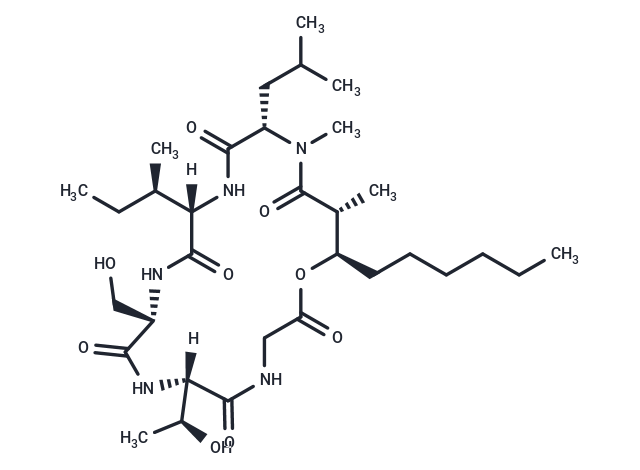 Globomycin