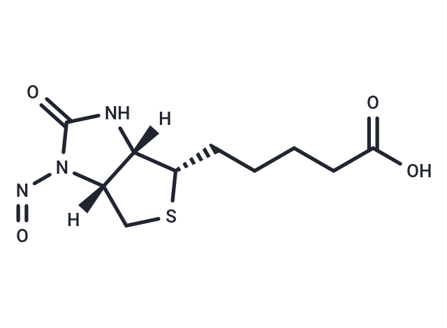 Nitrosobiotin