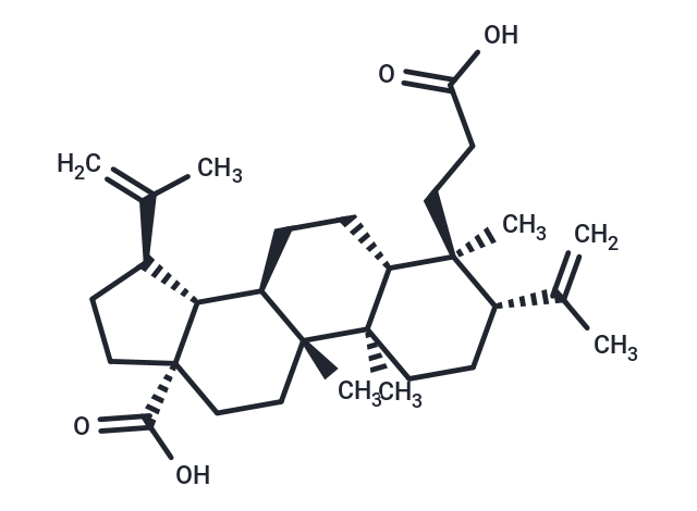 3,4-Secolupa-4(23),20(29)-diene-3,28-dioic acid