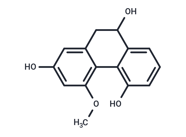 Rotundatin