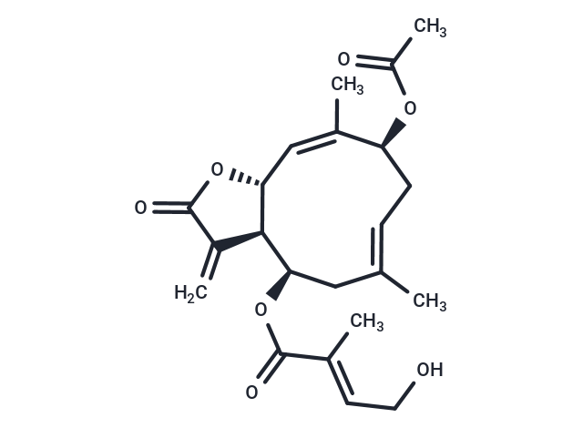 Chromolaenide