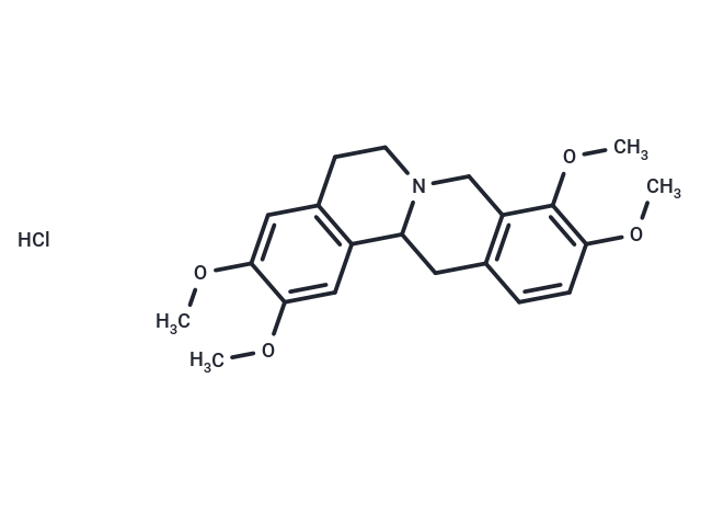 Tetrahydropalmatine hydrochloride