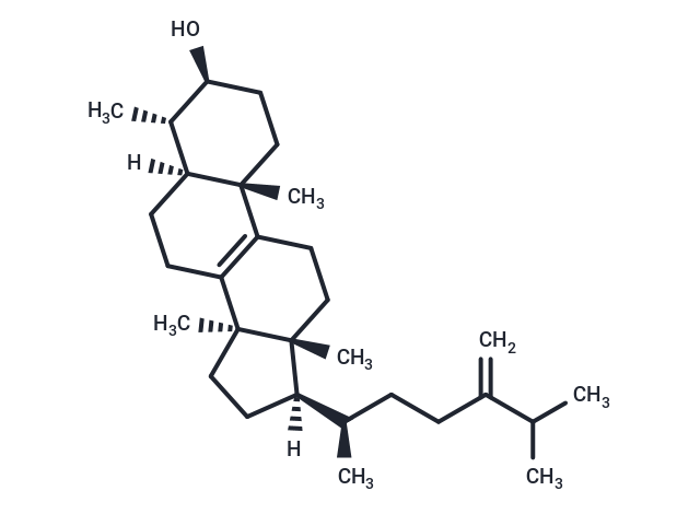 Obtusifoliol