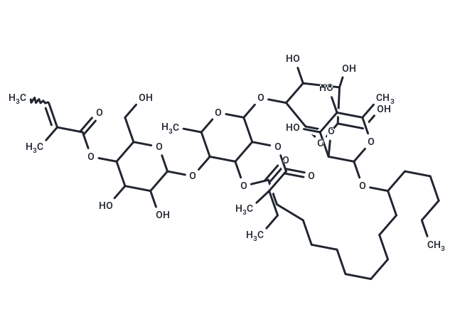 Scammonin viii